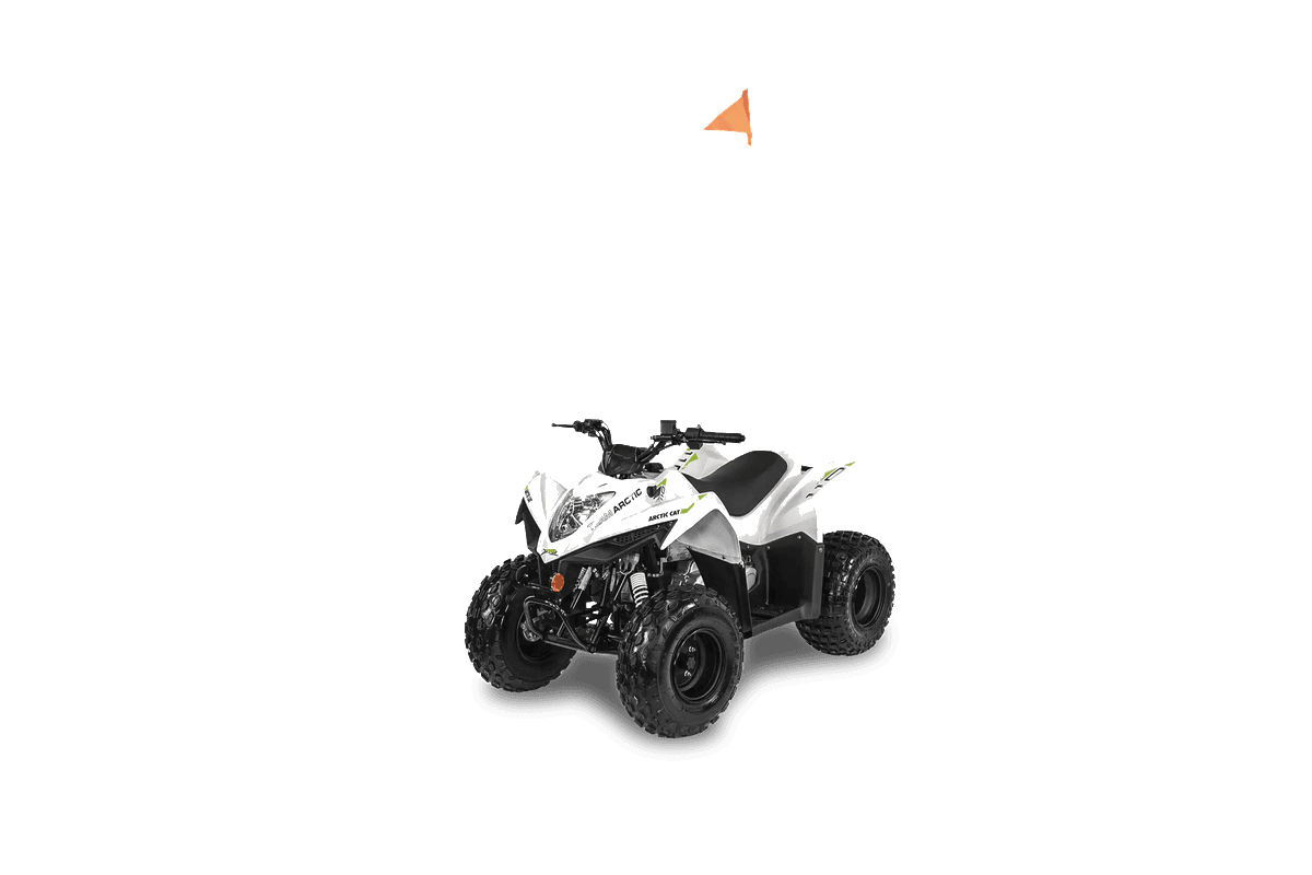 Arctic Cat Alterra 110 product cutout
